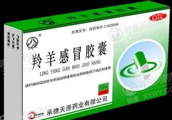 天原药业 羚羊感冒胶囊