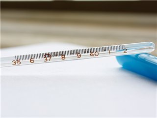 加加林玻璃体温计（小号） 温度计
